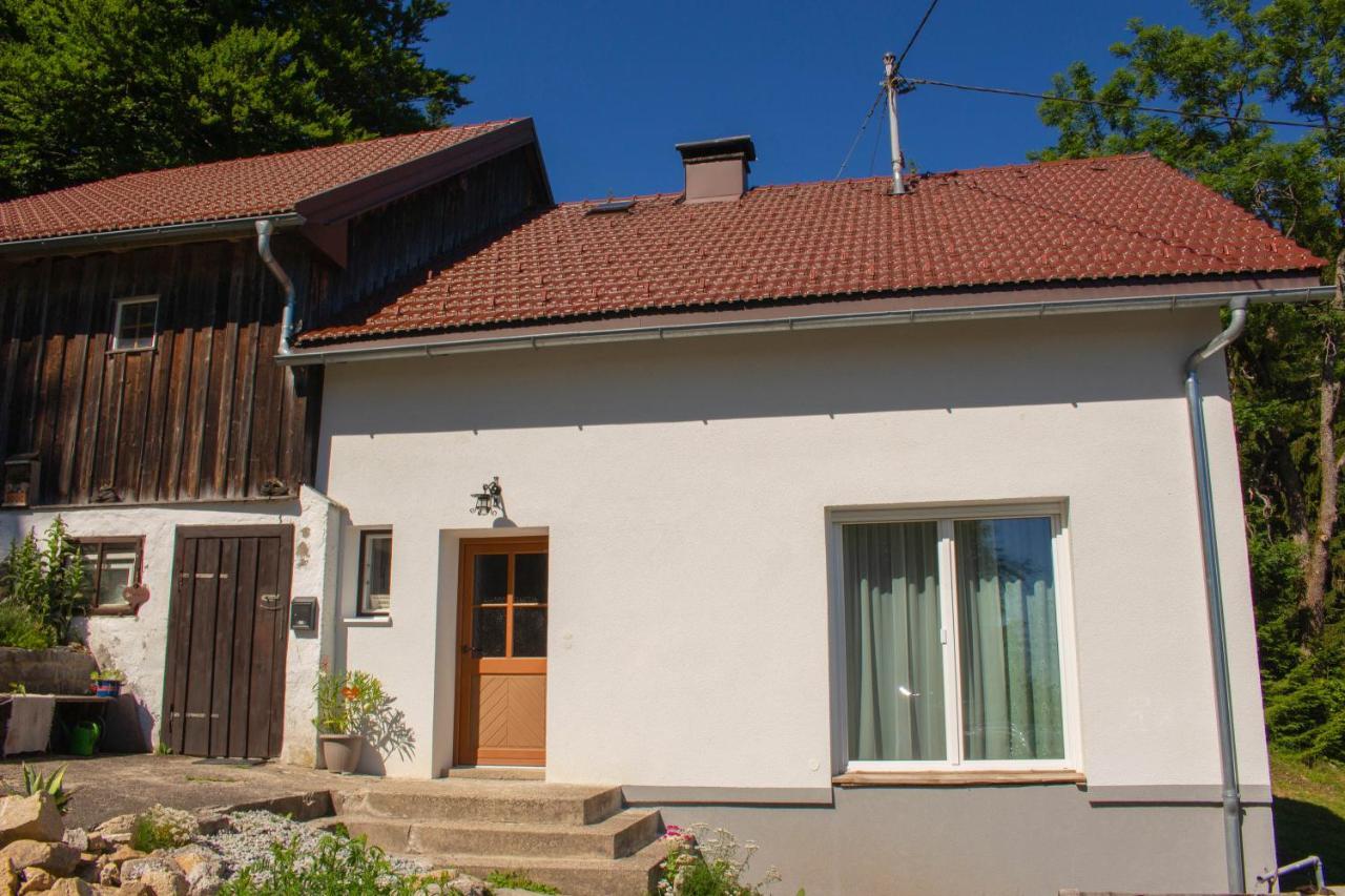 Ferienhaus Ploeckenstein Schwarzenberg am Bohmerwald Exterior foto